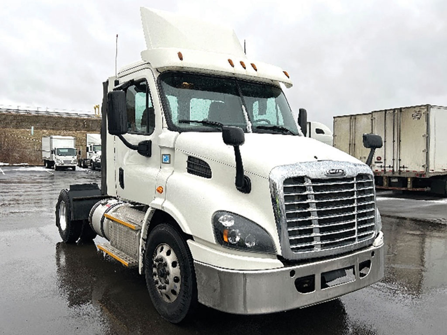 Front-left view of a white 2017 Freightliner Cascadia 113 daycab tractor showing chrome grille, headlights, mirrors, and fuel/tank steps.