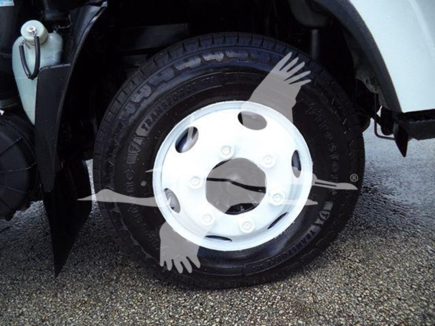 Isuzu NPR HD truck wheel and front fender area showing tire and white steel wheel with hub cover; part of front wheel well visible.