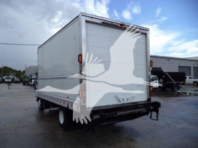 Isuzu NPR HD box truck rear view showing cargo area with white exterior and rear bumper.