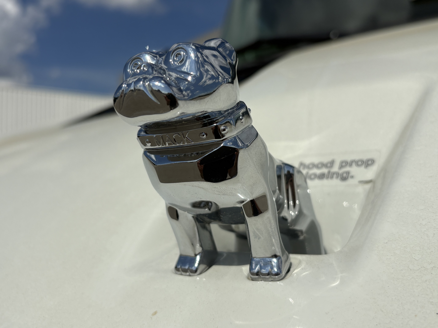 Front hood ornament of a Mack truck bulldog mascot on the hood with chrome finish, pedestal base, and the surrounding white surface.