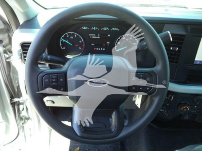Ford F-600 XLT pickup interior steering wheel with dashboard and controls visible.