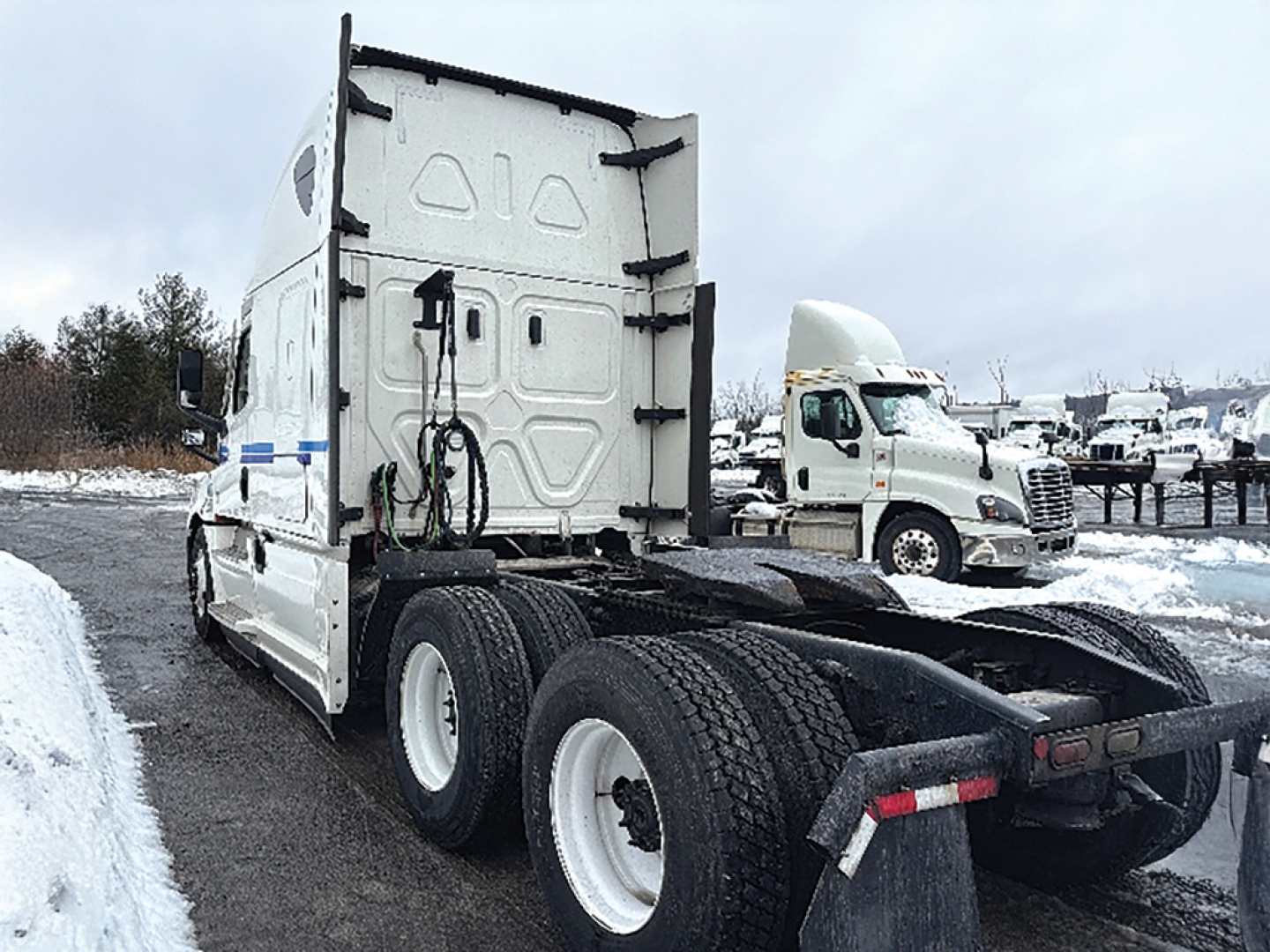 Tractor-trailer truck rear view showing fifth-wheel and dual rear axles on a Freightliner Cascadia chassis.