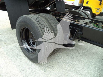 Dual rear wheel assembly of a 2019 International Durastar 4300 dump truck chassis showing rear tires and frame