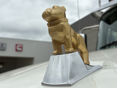 Gold bulldog hood ornament on a Mack truck with a numeric badge and a blurred dealership backdrop.