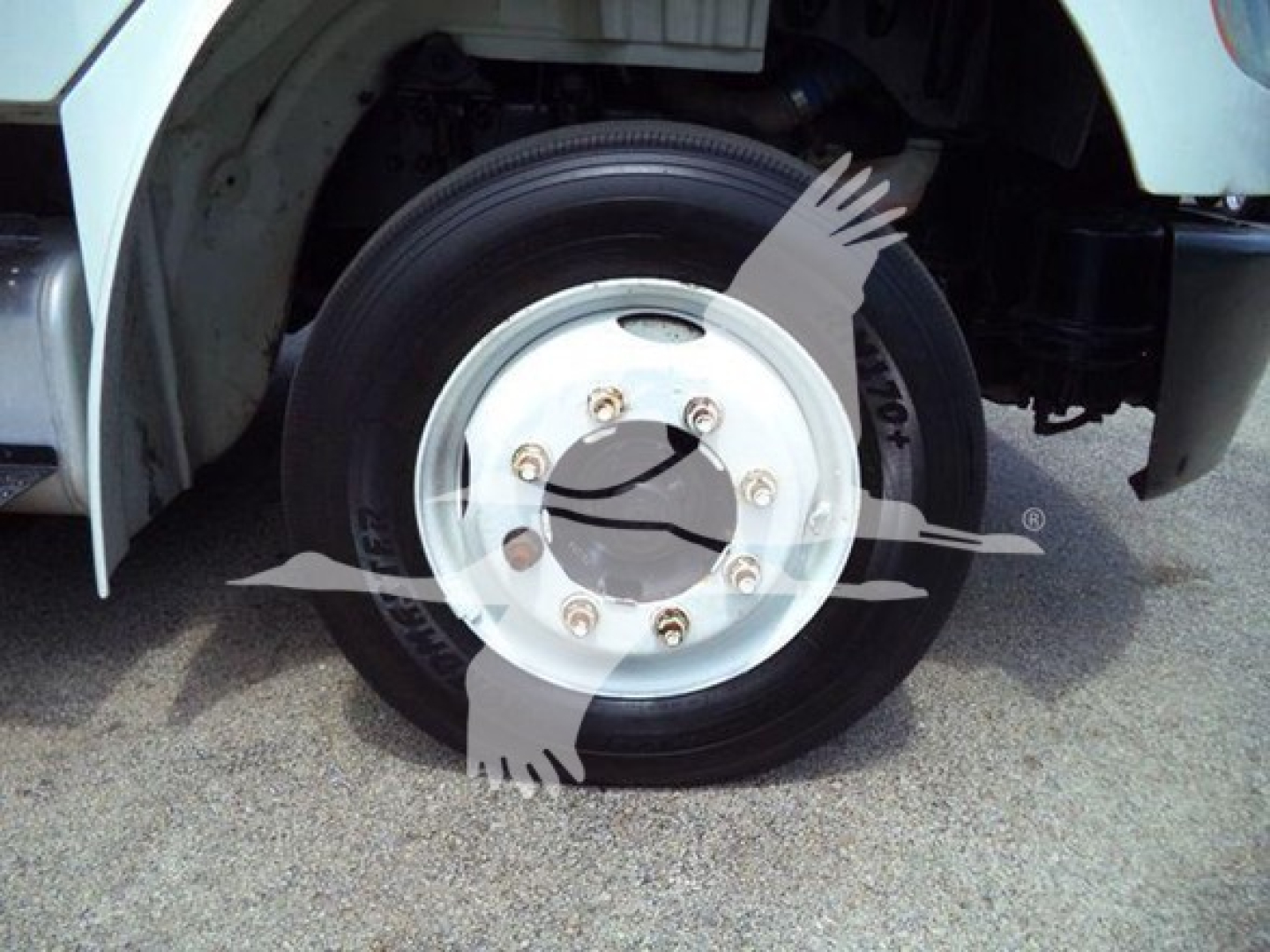 Front wheel close-up of a Freightliner truck showing a silver steel hub with eight lug nuts and a black tire; partial view of the white fender and wheel well.
