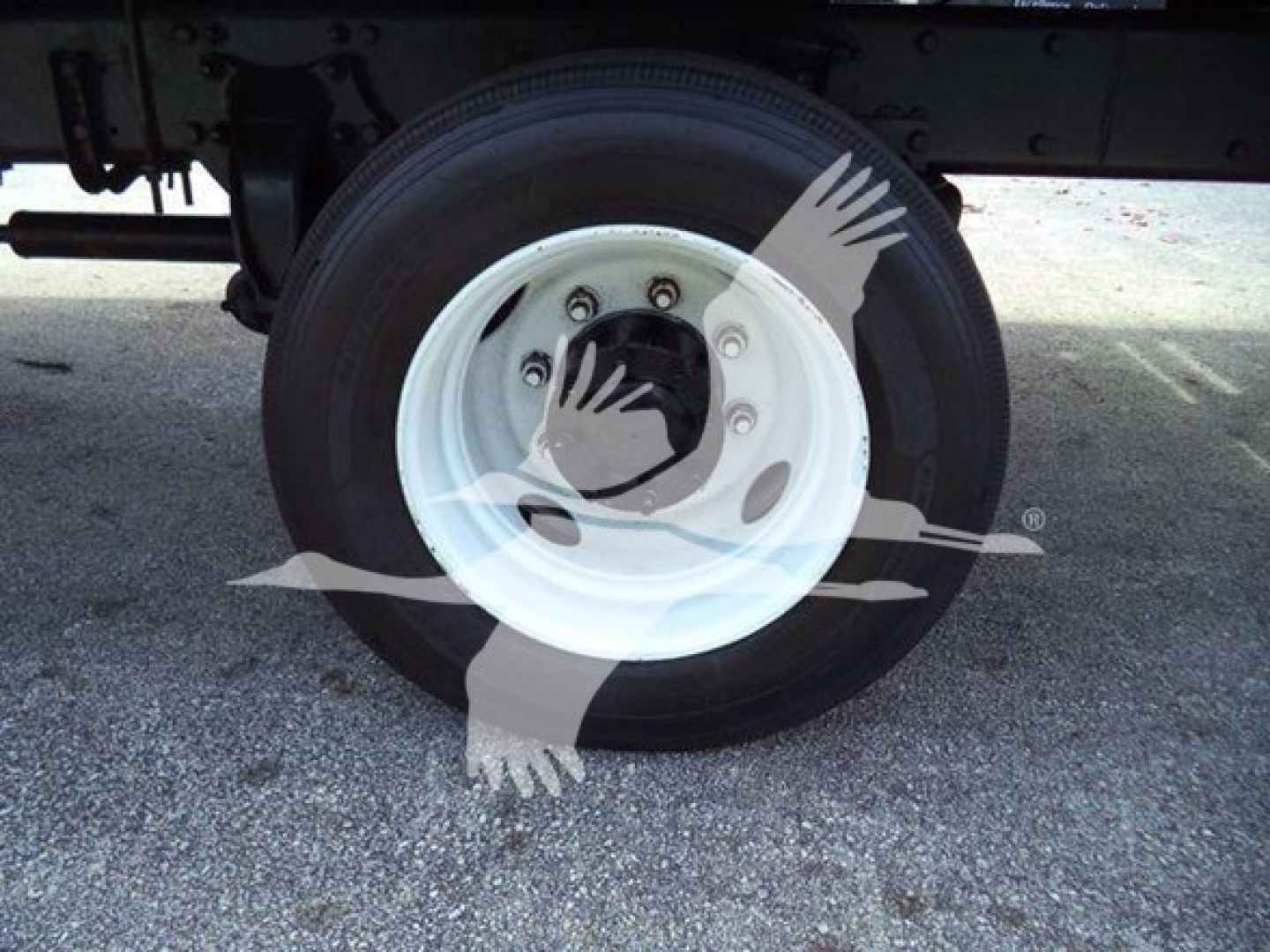 Wheel of a Freightliner Business Class M2 106 truck showing white steel rim and tire undercarriage with watermark overlay.