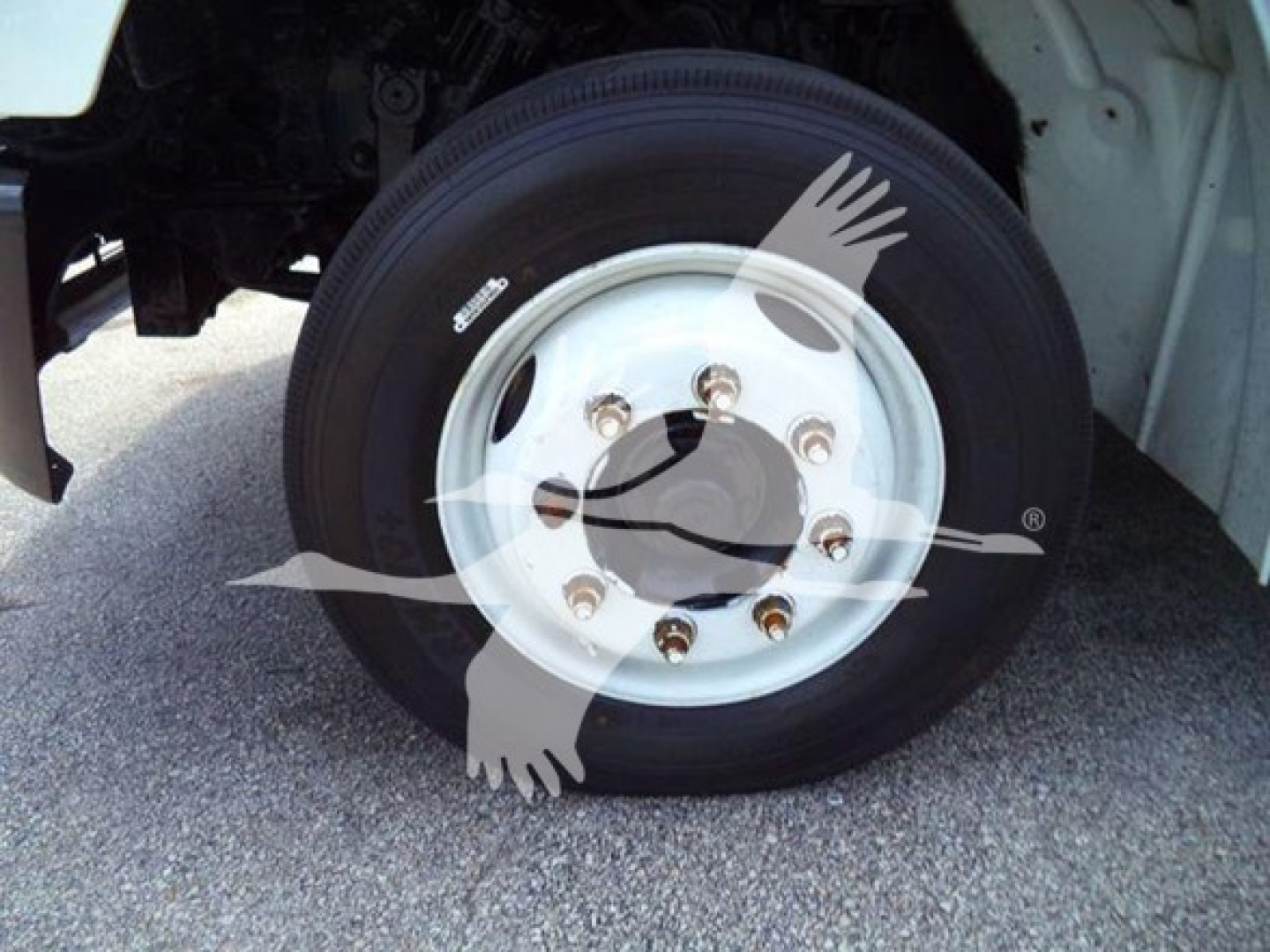 Wheel and tire on Freightliner Business Class M2 106 wheel assembly with white steel hub and lug nuts.