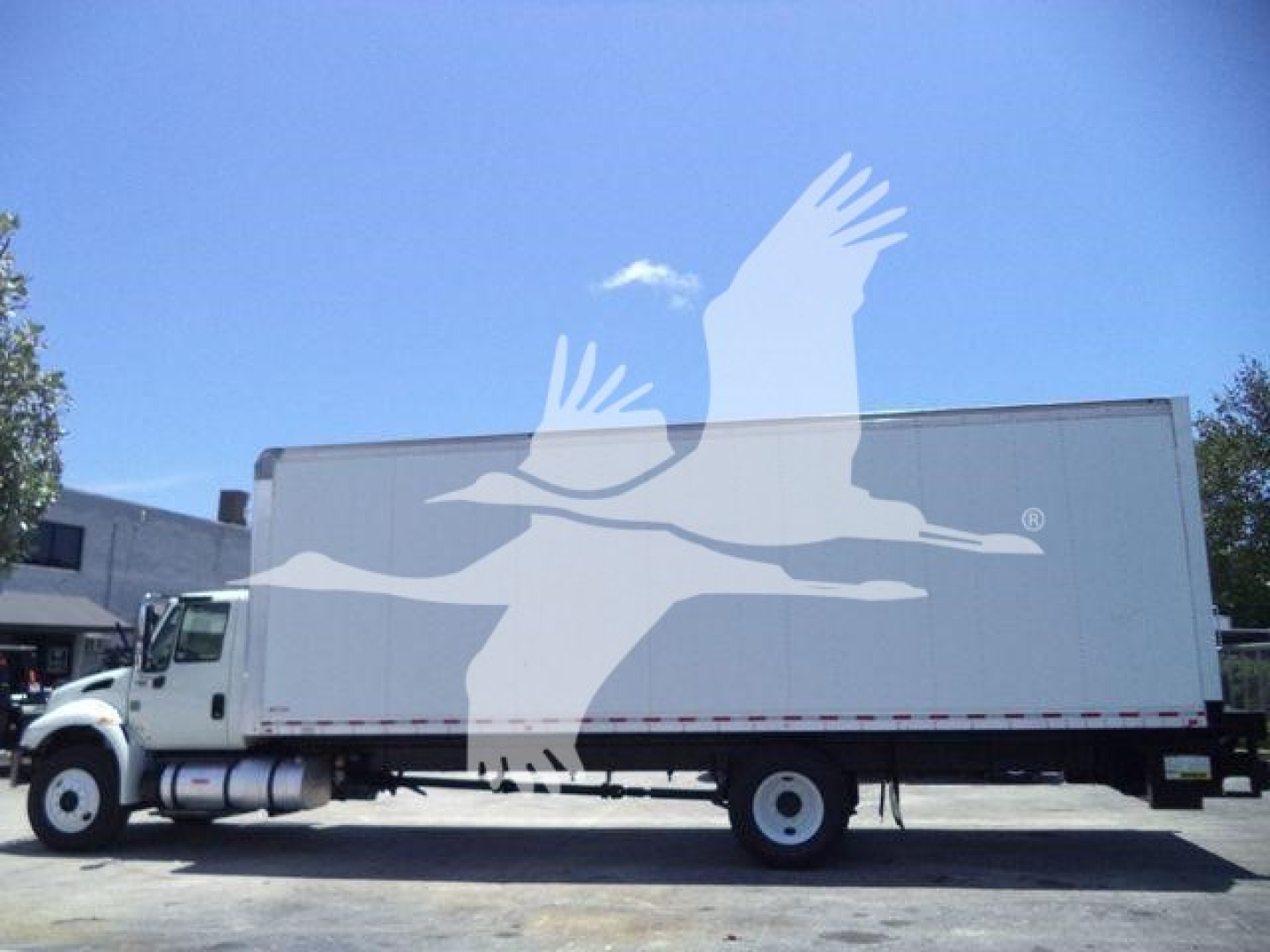 Box truck side view of 2019 International Durastar 4300 with stock number T33961FM.