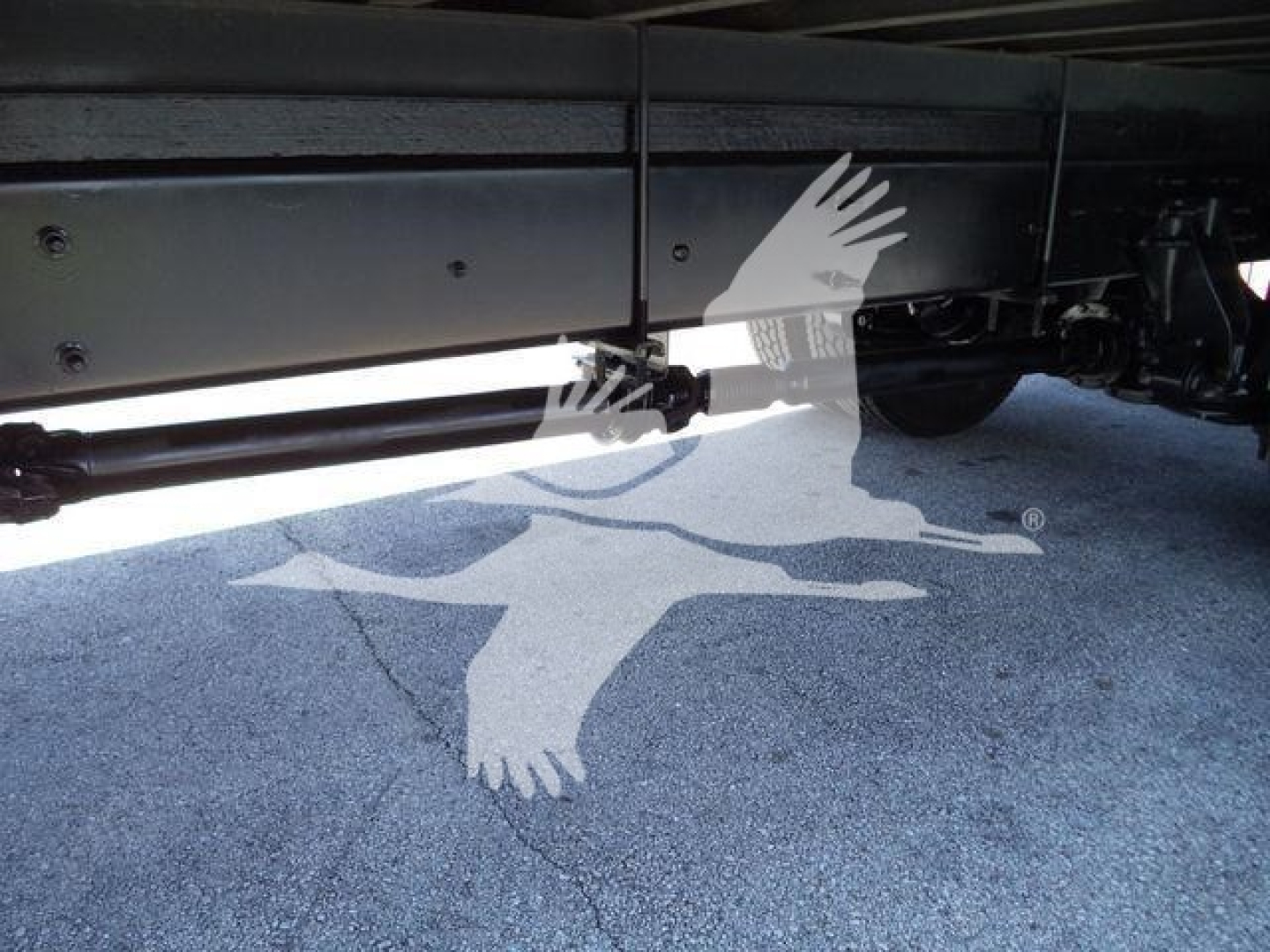 Truck undercarriage showing hydraulic lines and underbody drivetrain in the International Durastar 4300.