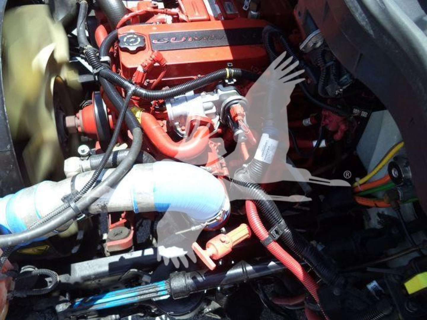 Truck engine bay of a 2019 International Durastar 4300 showing a red engine cover with 'Cummins' branding, various hoses, wiring, and metal piping.
