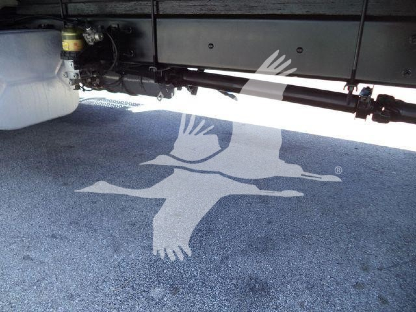 Underbody view of a 2019 International Durastar 4300 used truck showing chassis components and undercarriage with a white container and suspension}, showing structural elements