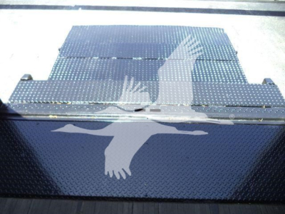 Toolbox or storage container with diamond plate pattern and a white silhouette of a bird in flight on the side.