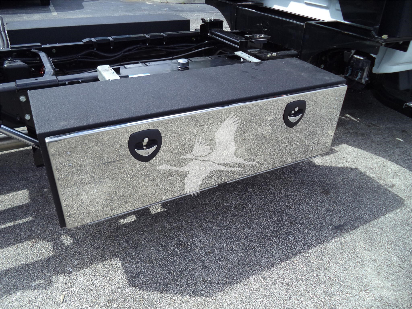 Boxed toolbox mounted on truck frame with two circular latches and a graphic of a bird in flight on the front panel.