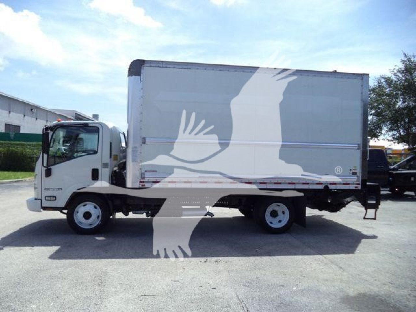 Isuzu NPR HD box truck side view with large cargo box and white silhouette of a bird across the side. Cab shows standard front grille and door window.