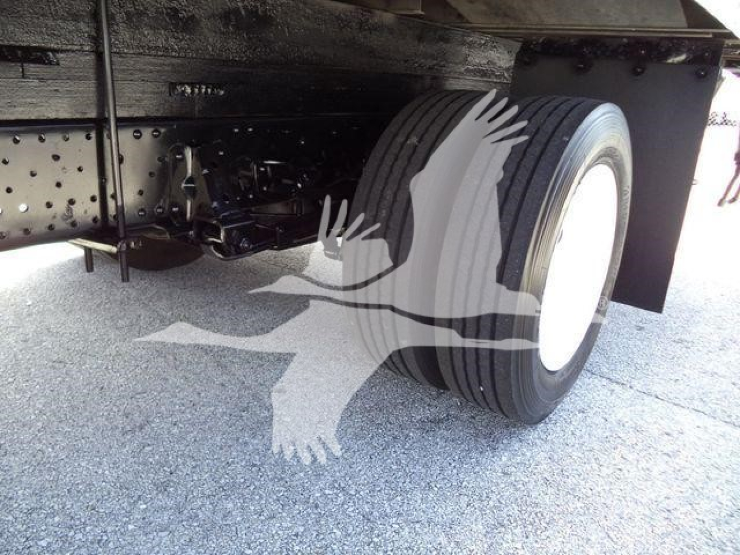 Isuzu NPR-HD truck undercarriage showing dual rear tires and chassis with leaf springs.