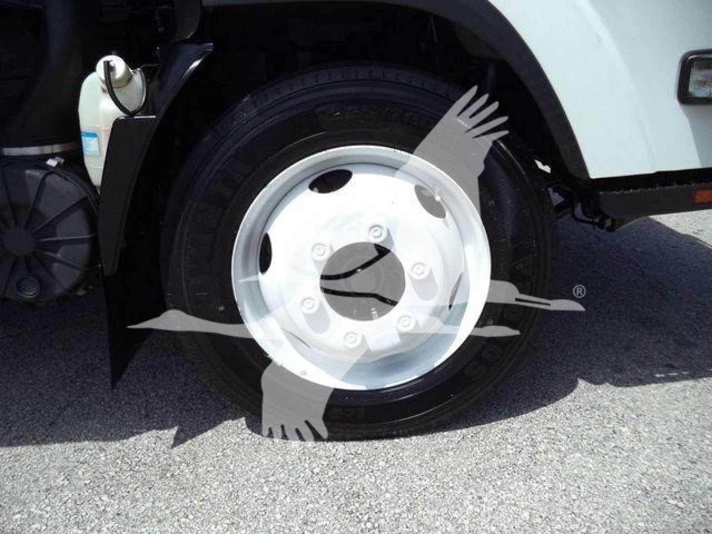 Isuzu NPR HD wheel and front fender area showing steel wheel and tire assembly