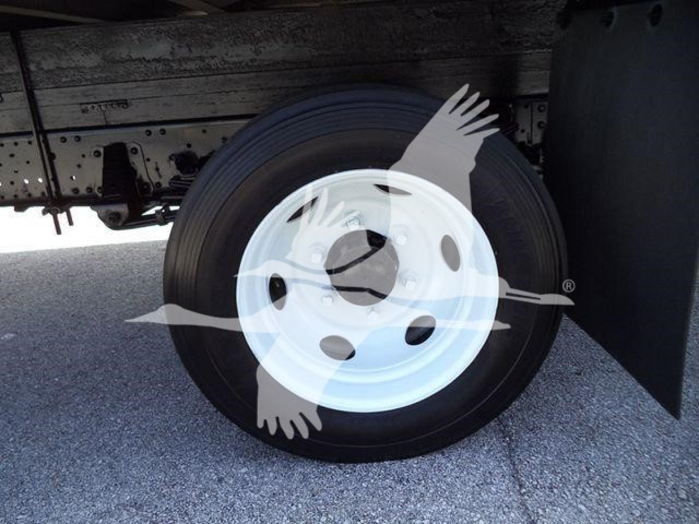 Isuzu NPR HD truck wheel and undercarriage with white steel rim and tire visible.