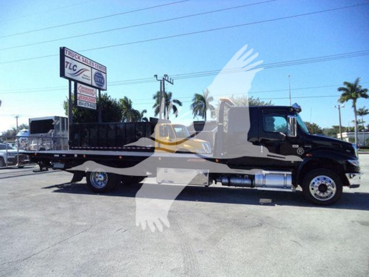 Flatbed rollback truck in a dealership lot showing International MV logo on a black cab and long flatbed; background includes palm trees and sign. Visible text includes STL Truck Sales & Leasing on sign and dealership signage.