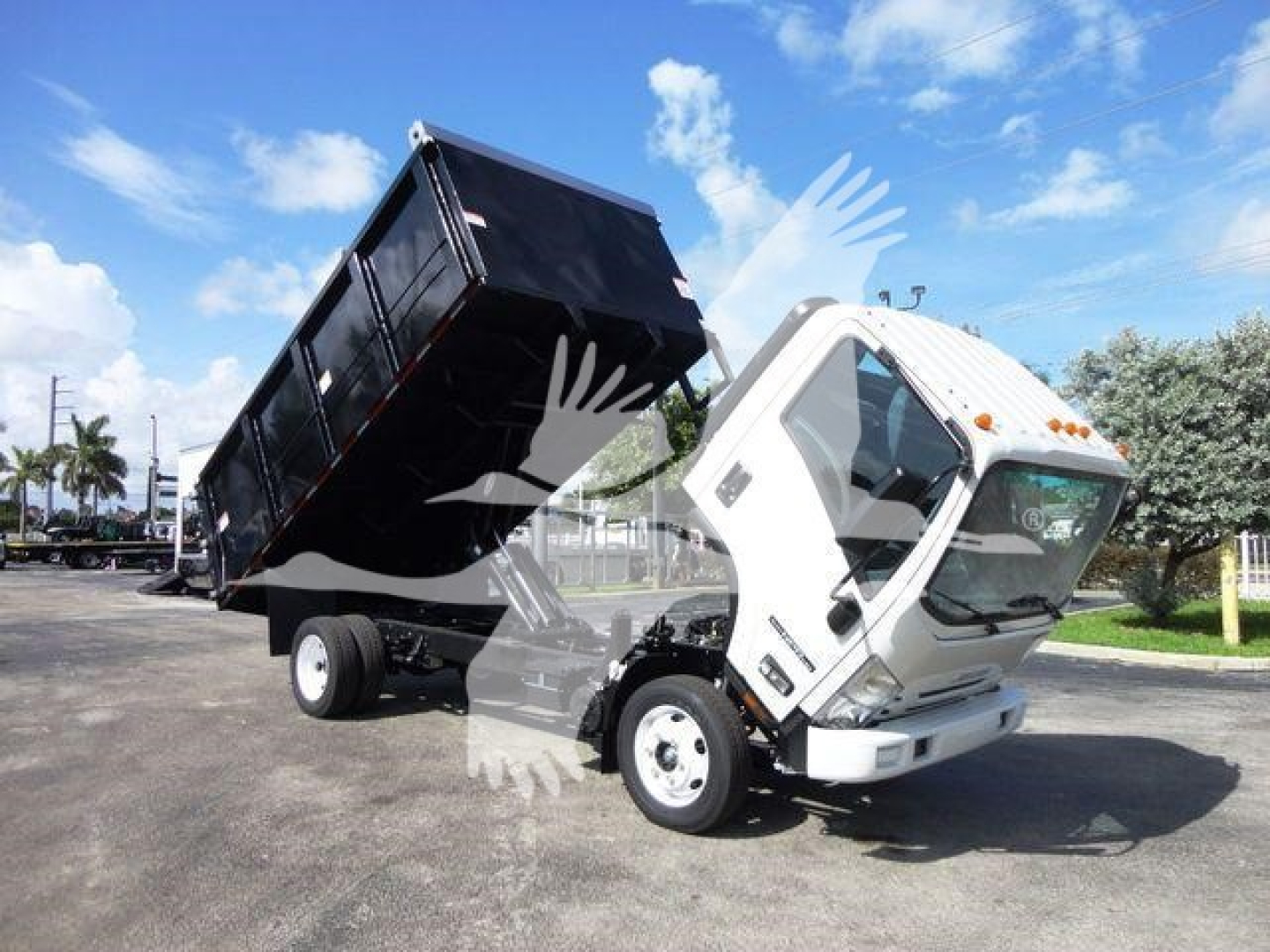 Isuzu NPR-HD dump truck with bed raised, white cab and black dump body, front angled view showing hydraulic mechanism