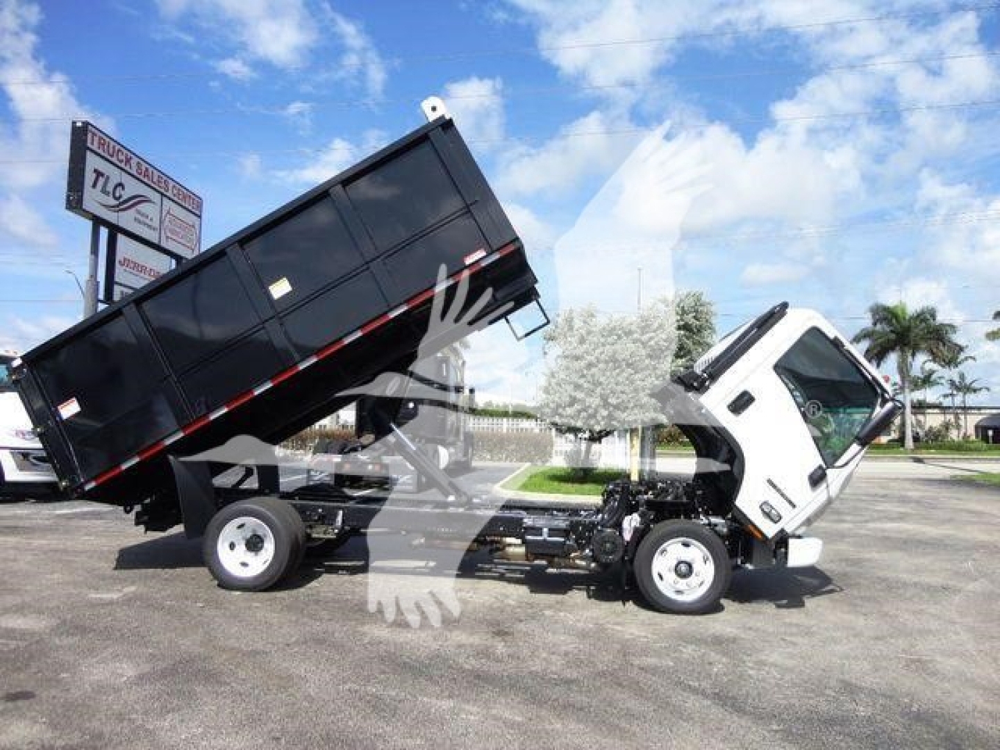 Isuzu NPR-HD dump truck with tilted black dump bed raised in a dealership lot.