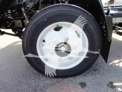 Isuzu NPR HD truck wheel and tire close-up showing white steel rim with lug nuts and black tire.