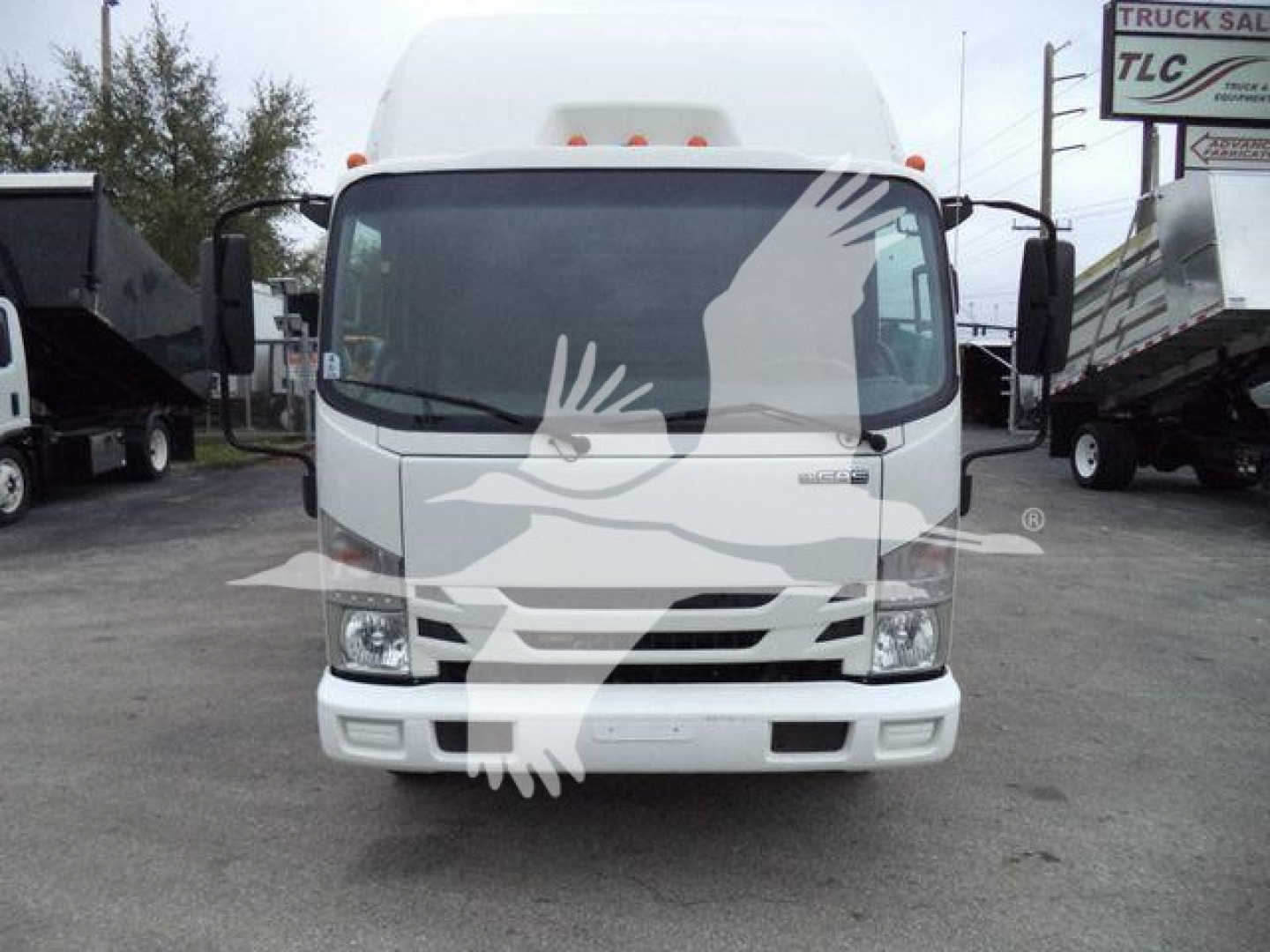 Isuzu NPR truck front view showing cab with large windshield and headlights