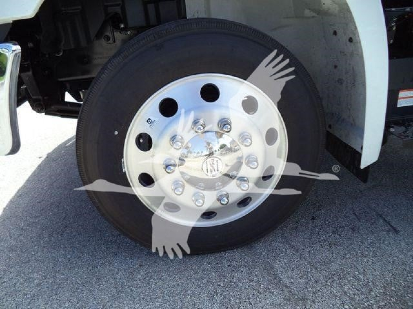 Front wheel of a truck showing a circular chrome hubcap with multiple lug studs and a centered badge. The image also shows part of the white fender and black tire. Overlay watermark of a flying swan graphic across the wheel.
