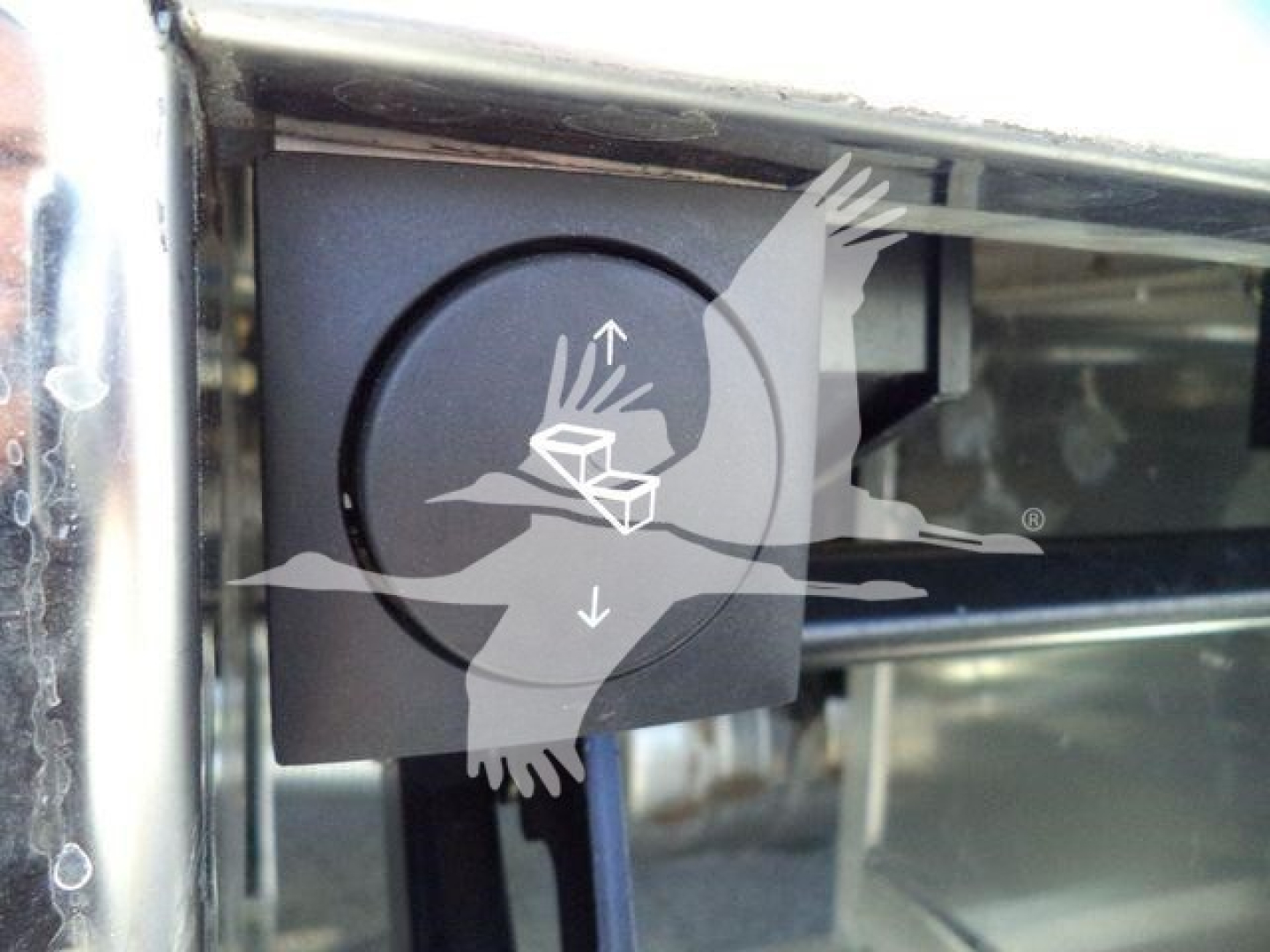 Kenworth truck hood with round black control knob and chrome trim, partially visible front grille