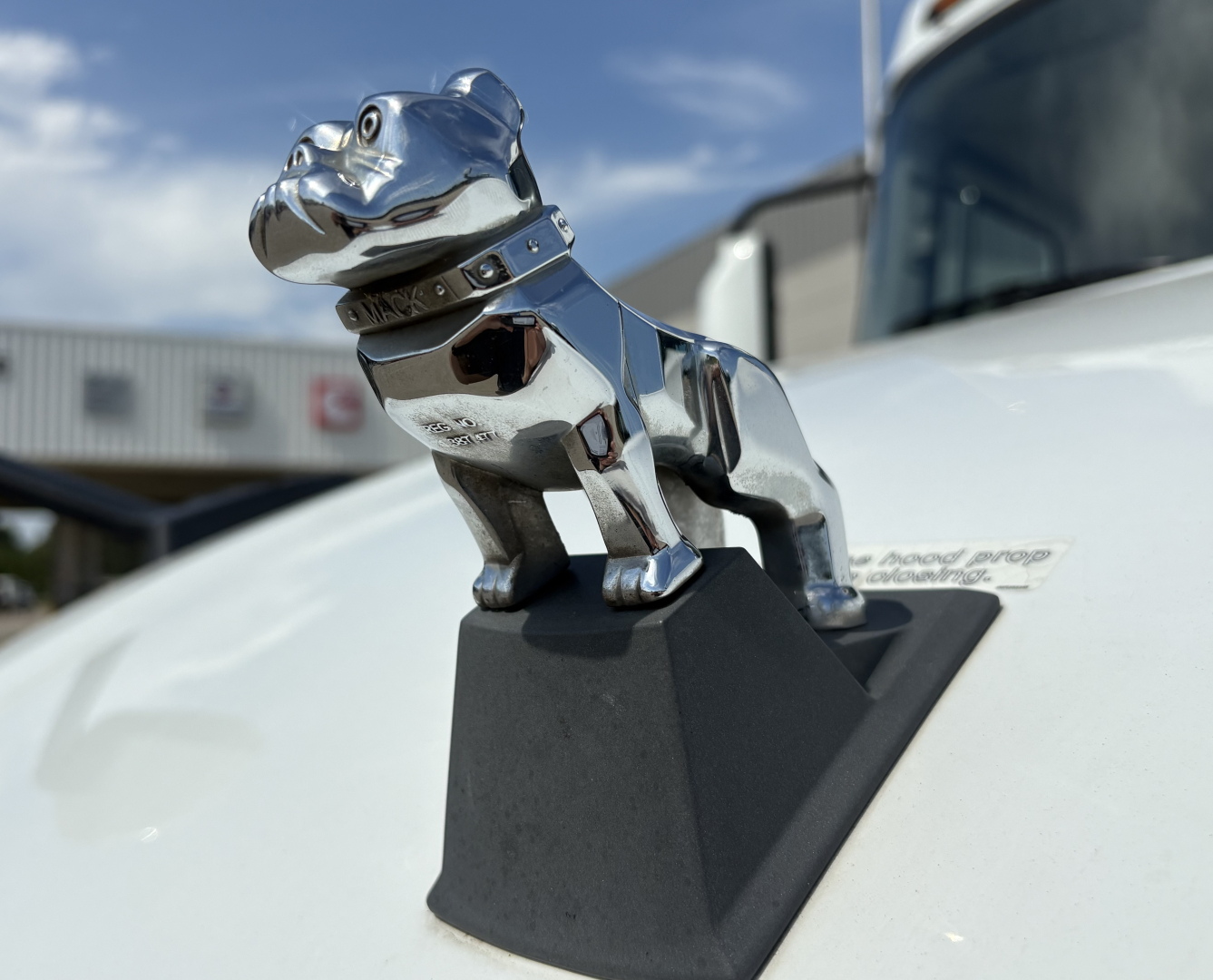 Chrome Mack bulldog hood ornament on a white truck, close-up view of the ornament with background truck showroom.