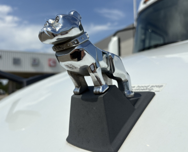 Chrome Mack bulldog hood ornament on a white truck, close-up view of the ornament with background truck showroom.