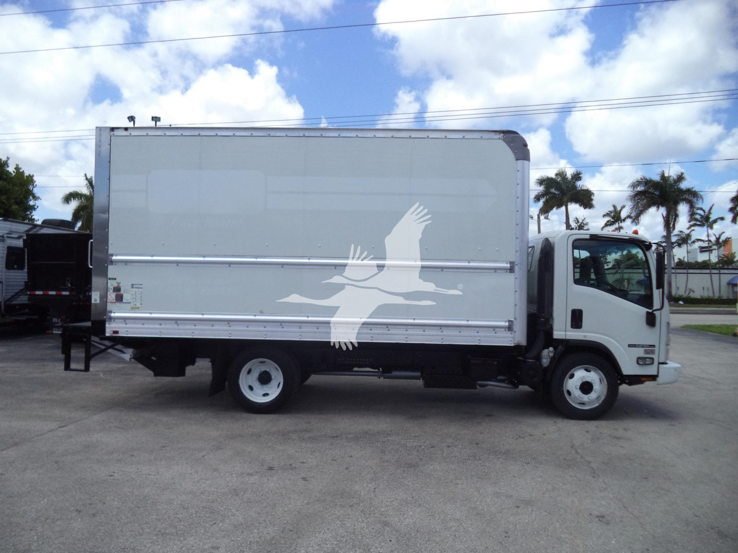 Isuzu NPR HD box truck side view showing cargo box with graphic white birds; cab is white, two-axle chassis, flat asphalt lot, clear sky.