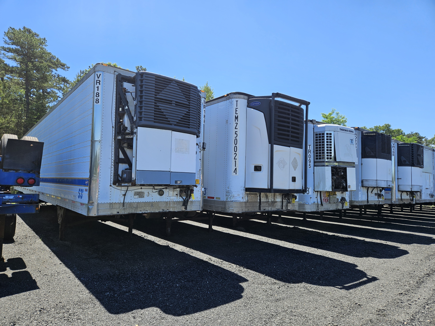 Freightliner Cascadia cab and chassis trailers with refrigerated units parked in a line.