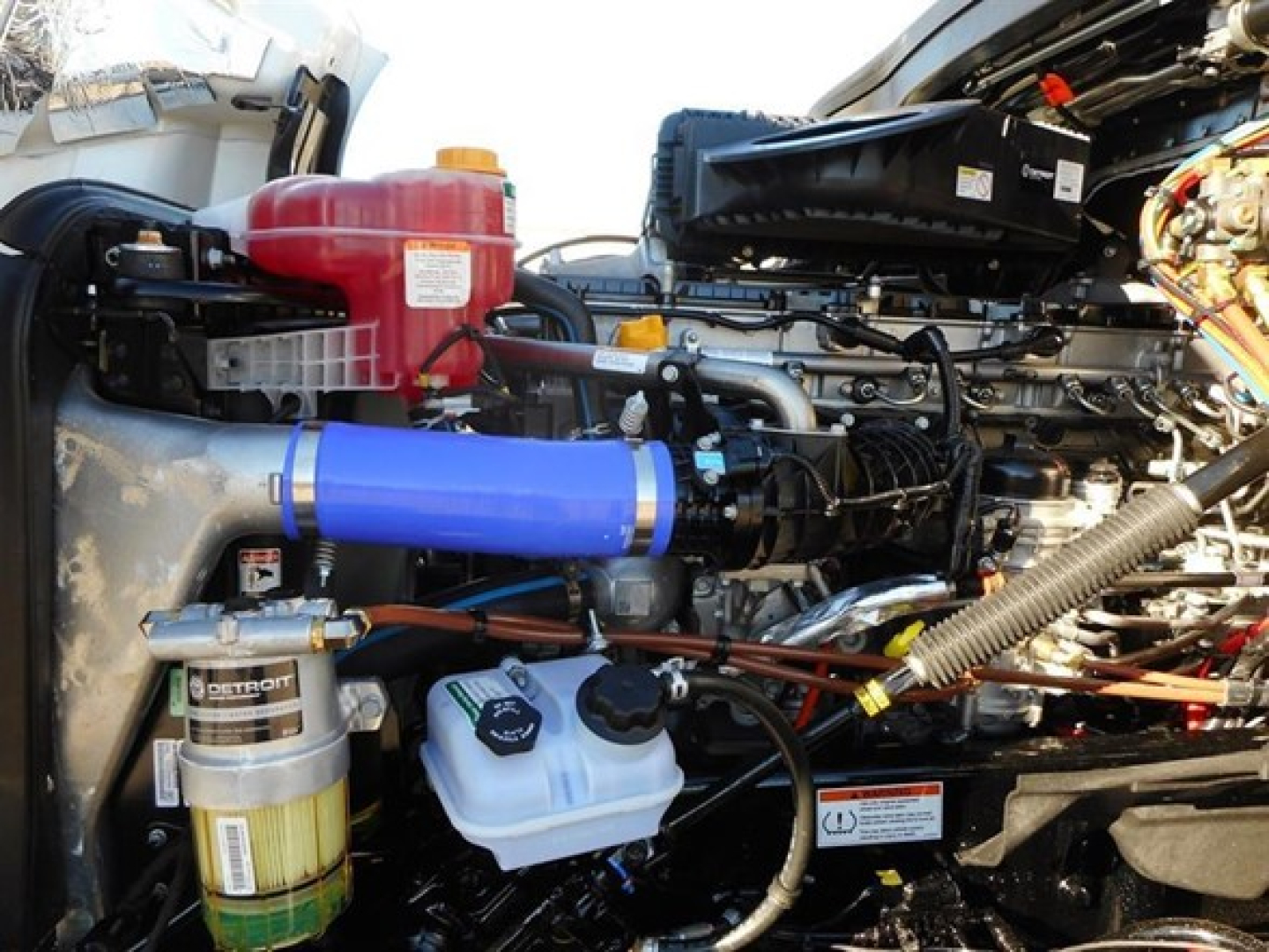 Freightliner Cascadia 126 engine bay showing blue intercooler hose, coolant reservoir, and various hoses and components.
