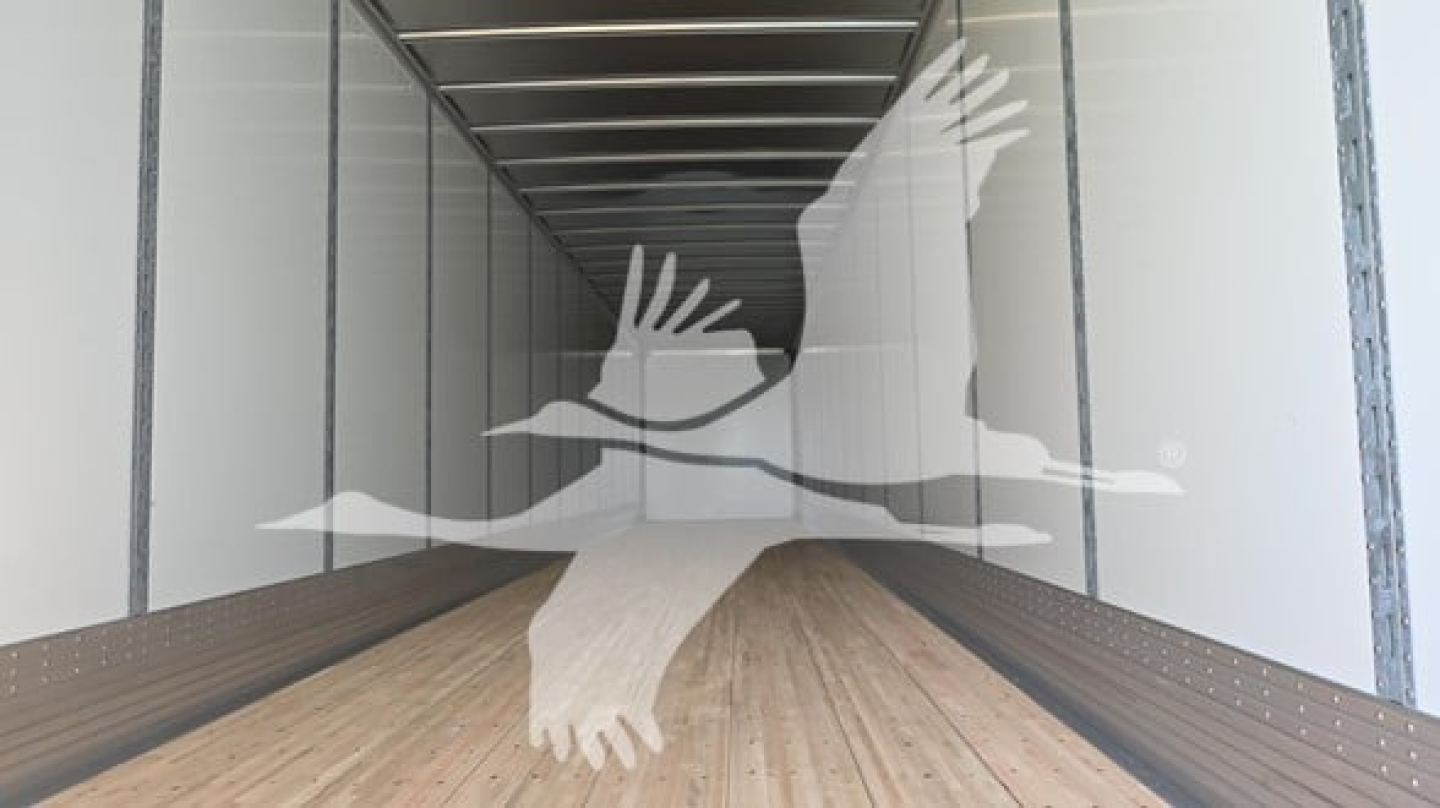 Trailer interior showing wooden floor and vertical metal walls with a translucent overlay of wings or birds in flight.