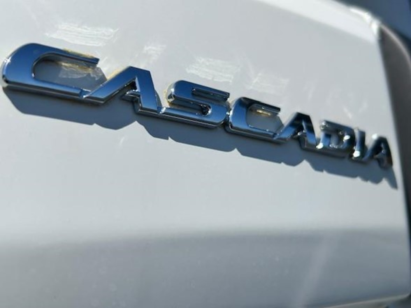 Freightliner Cascadia badge on truck tailgate showing chrome lettering and light reflections.