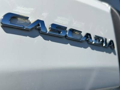 Freightliner Cascadia badge on truck tailgate showing chrome lettering and light reflections.