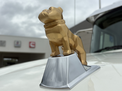 Iconic bulldog hood ornament on Mack PI64T truck with chrome base.