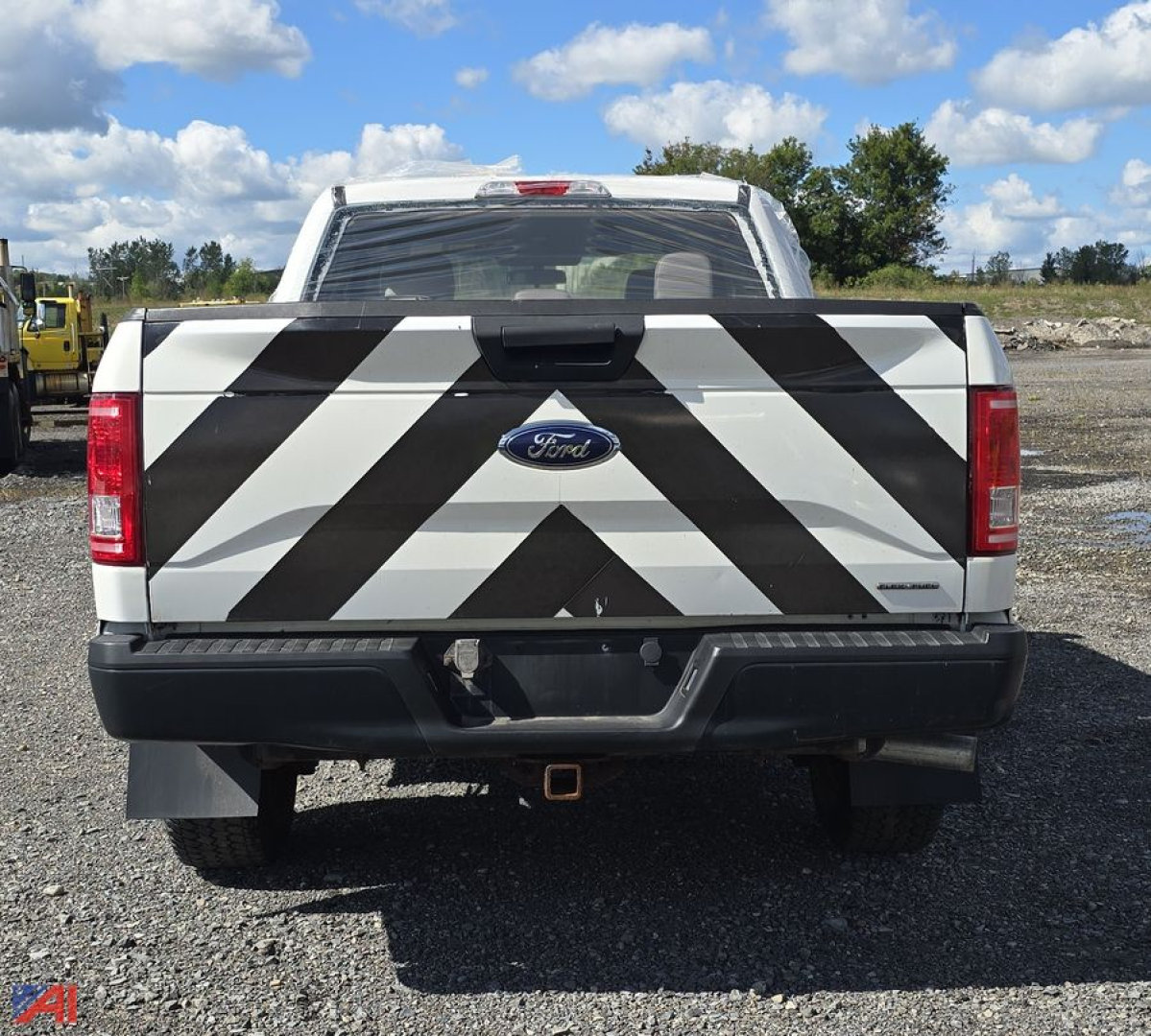 Ford F-150 tailgate with black and white diagonal stripes in a pickup bed, Ford emblem centered, trailer hitch below, rear bumper, 4x4 badge not visible.