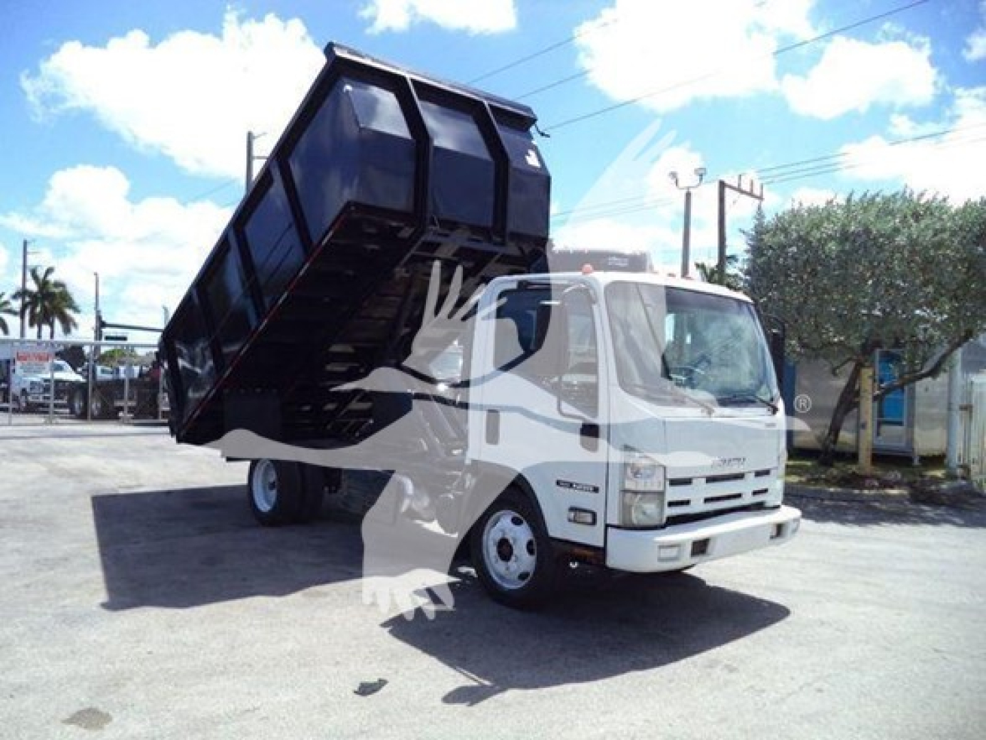 Isuzu NRR dump truck with raised bed in white cab and black dump body, front view showing side mirror and wheel.