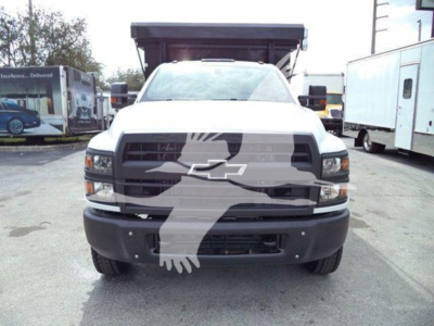 Truck front view showing Chevrolet bowtie grille, headlights, and bumper; watermark overlay of an eagle graphic across the center of the image.