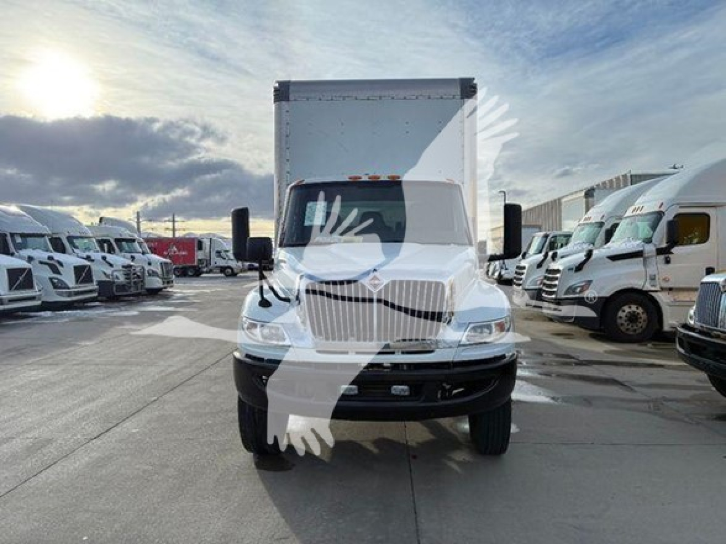 International MV box truck front view showing grille, headlights, and large cargo box with dealership lot in background.