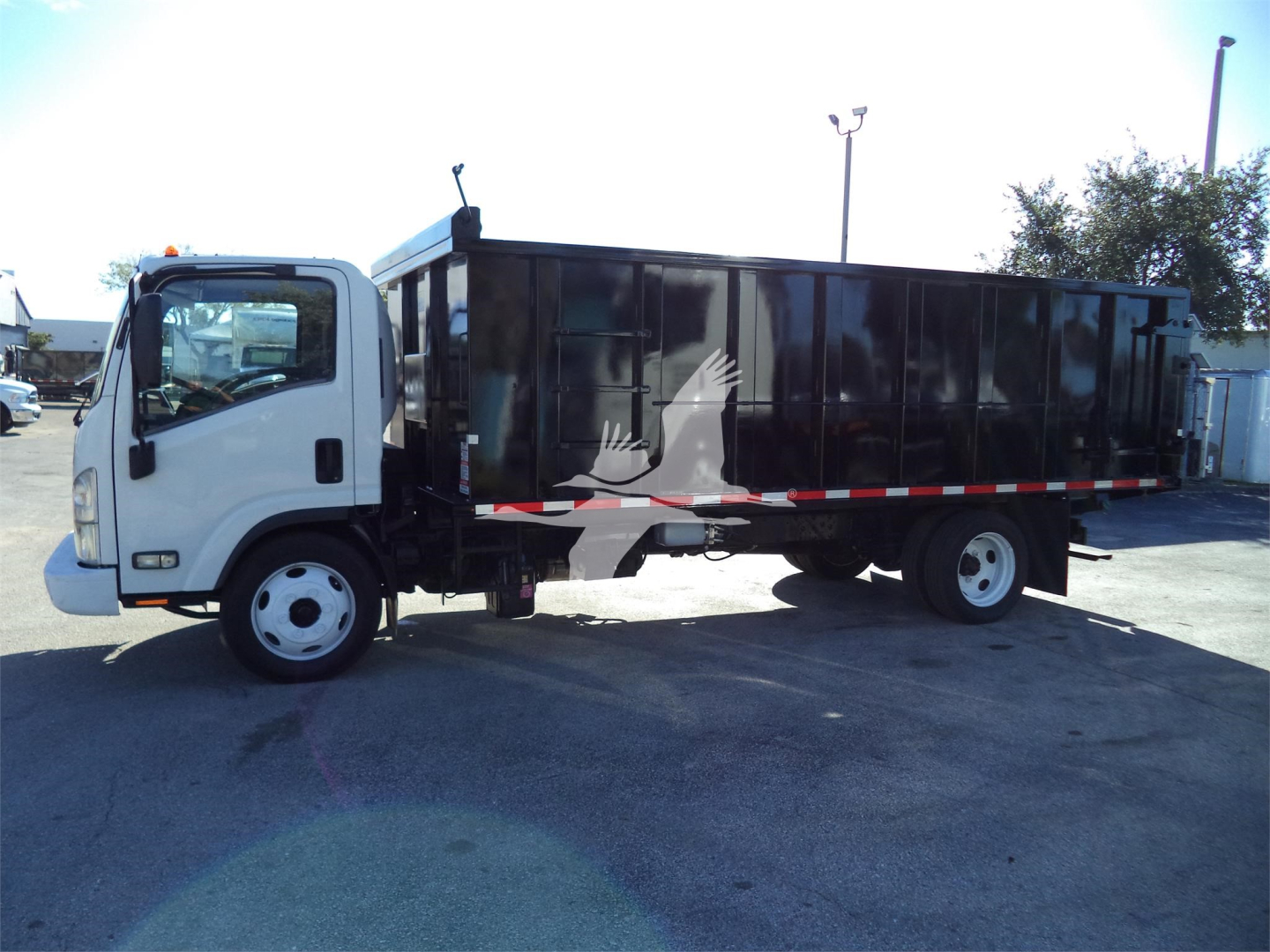 Isuzu NRR dump truck side view showing black dump bed with white cab and decorative graphic on side panel.