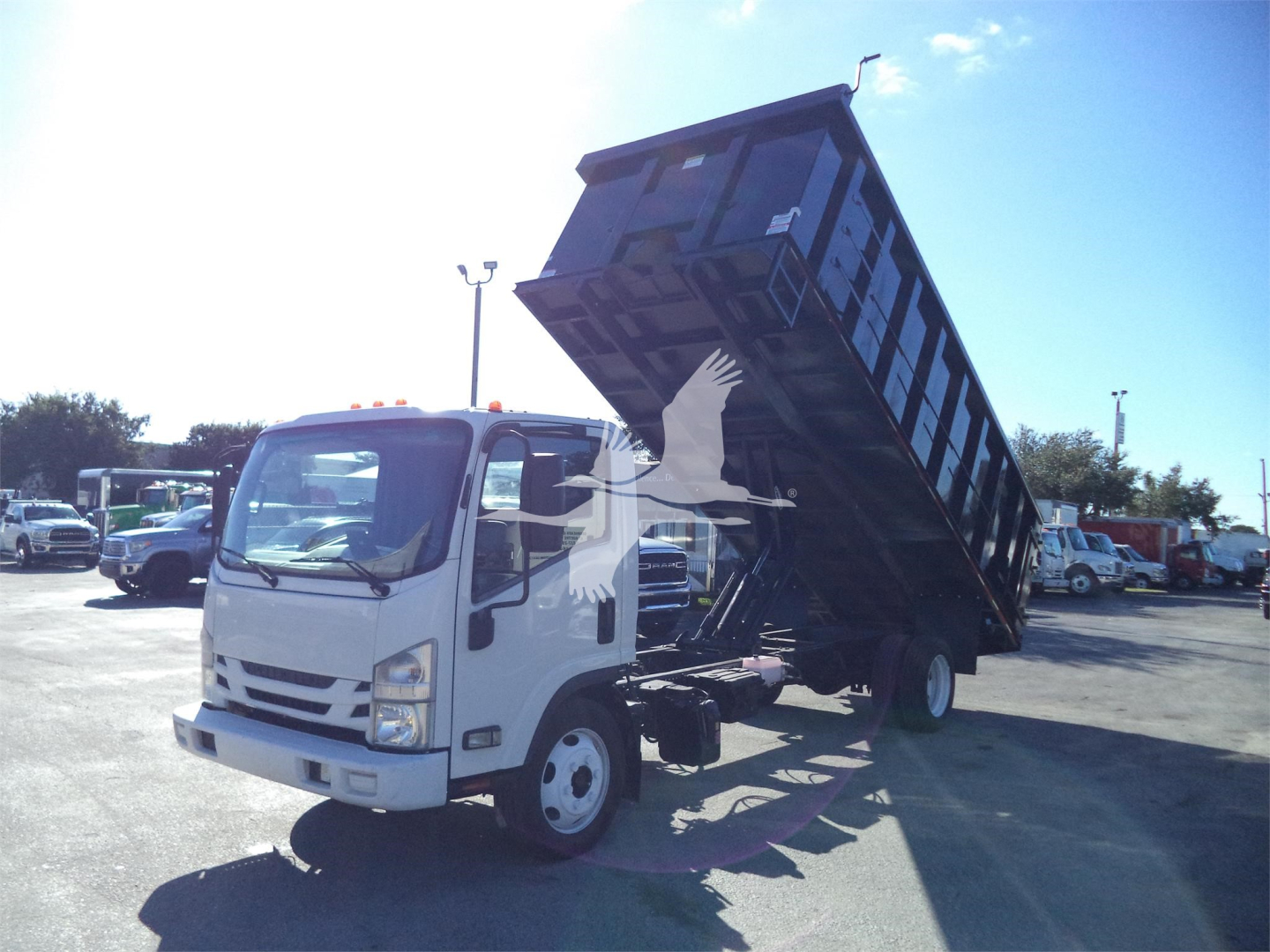 Isuzu NPRR dump truck in-service with its dumping bed raised, front cab visible, white exterior, loading area in background.