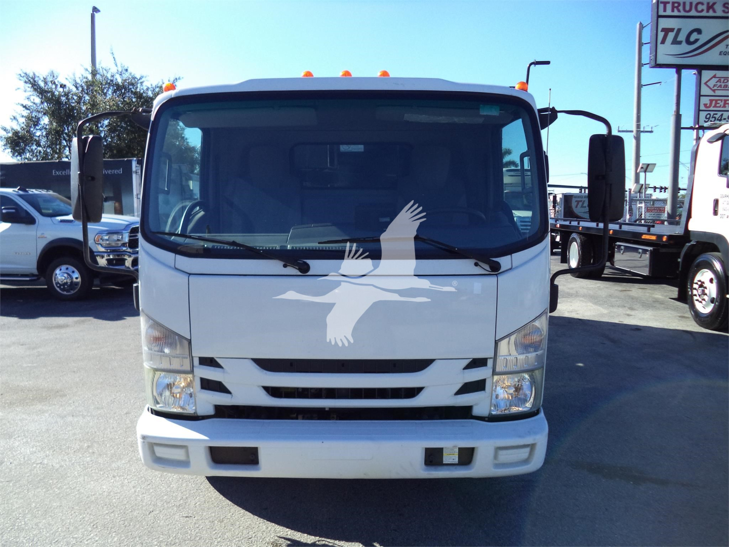 Isuzu NRR dump truck front view showing white cab with large windshield and headlights.