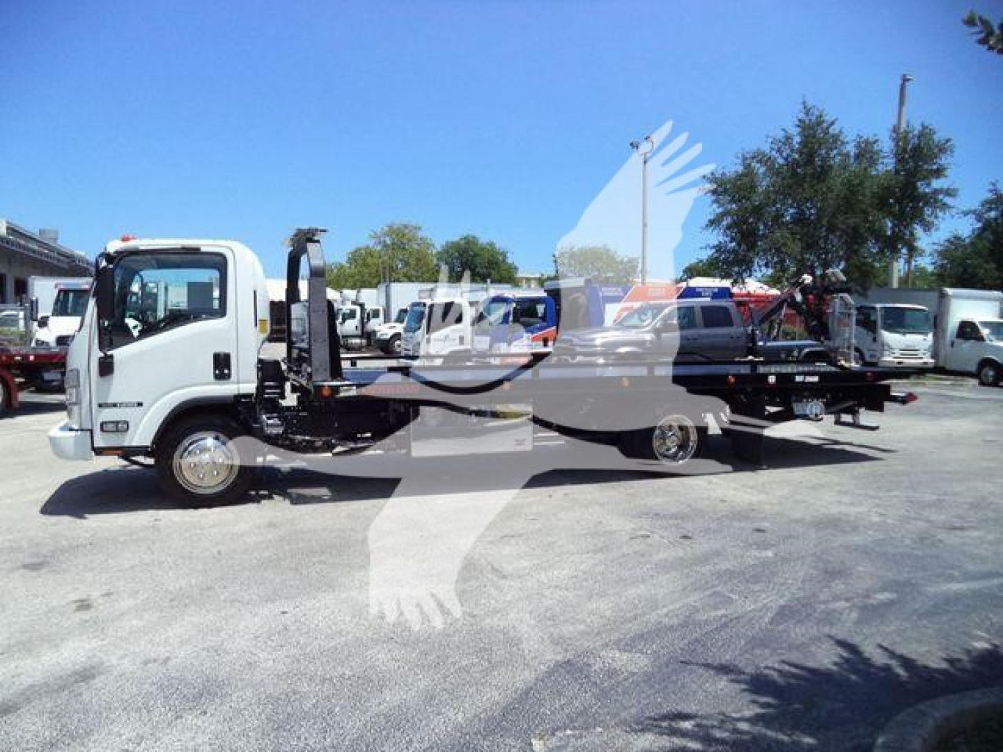 Isuzu NPR rollback truck in a parking lot, side view showing flatbed and hoist with other trucks in background.