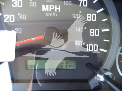Isuzu NRRGAS22XLP rollback truck dashboard showing speedometer and odometer reading 11 miles.