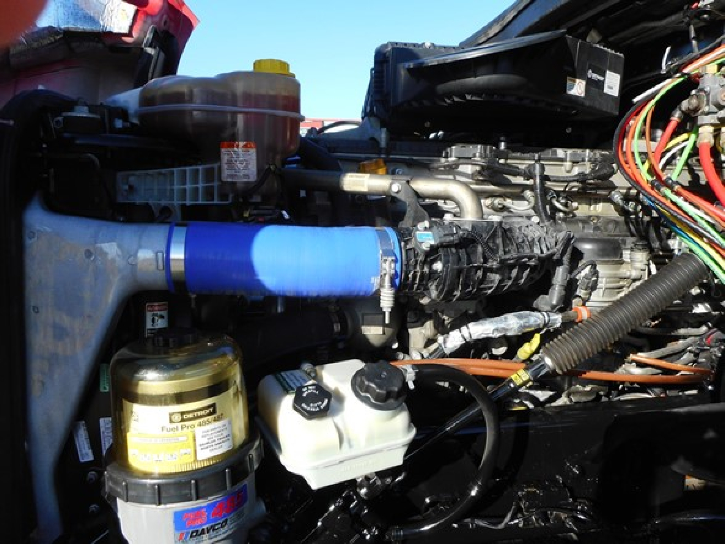 Cascadia engine bay showing blue silicone hose, oil/air reservoirs, and various wiring harnesses.