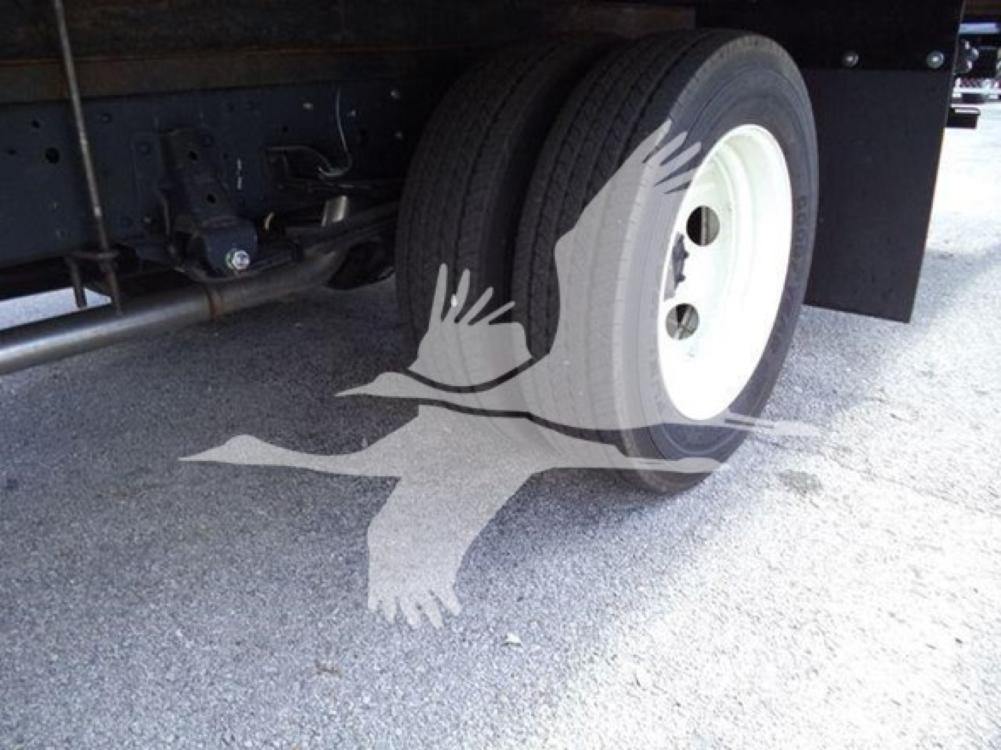 Isuzu NPR truck rear axle and dual wheels showing tires and chassis with shadowed logo of a bird in flight overlay