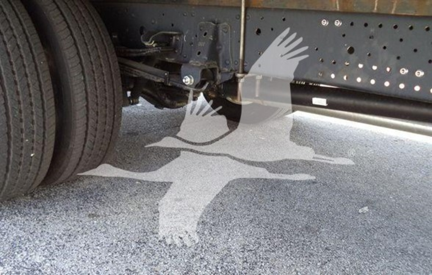 Underbody view of Isuzu NPR truck showing frame and dual rear wheels; no legible labels or fluid reservoirs visible.