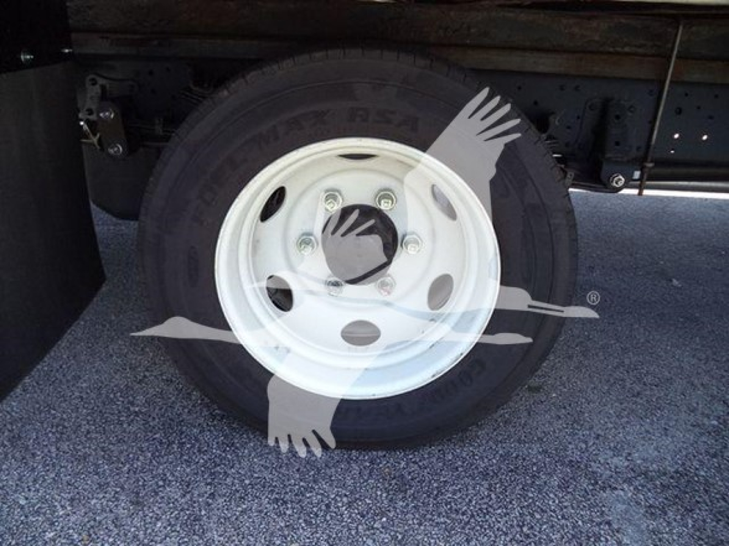 Isuzu NPR wheel/rim and tire visible under truck, with white steel rim and black tire; no legible labels visible in foreground.